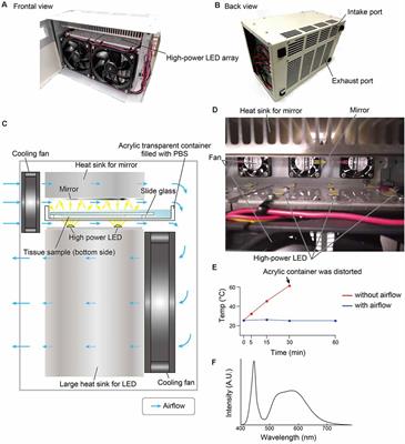 Fluorescence quenching by high-power LEDs for highly sensitive fluorescence in situ hybridization